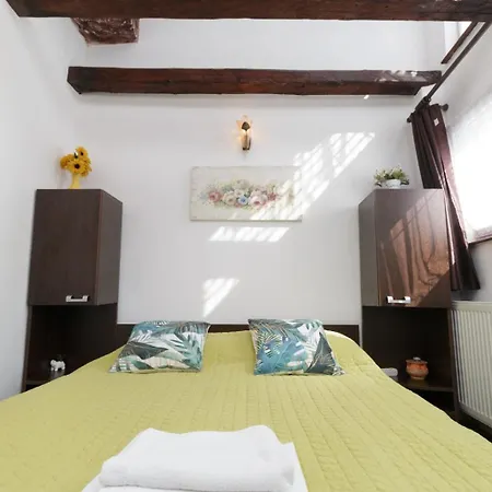 Rustic Centrul Istoric *